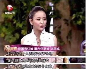 陈思成杨幂最新爆料,揭秘幕后真相与情感纠葛